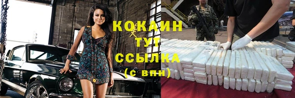 винт Надым