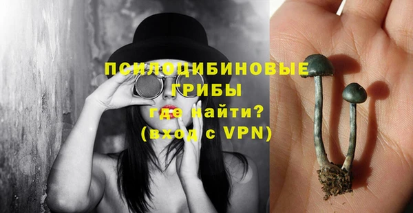 винт Надым