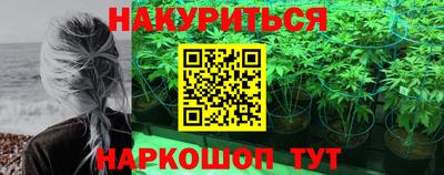 мяу мяу мука Будённовск