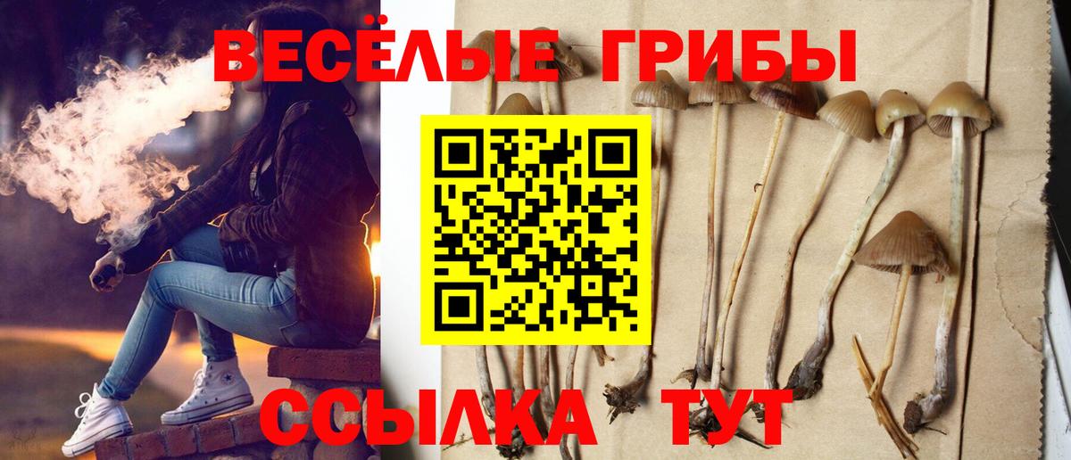 Галлюциногенные грибы Cubensis  Галлюциногенные грибы GOLDEN TEACHER  продажа наркотиков  Кропоткин  Вход с VPN 